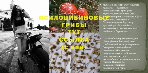 прущая мука Балабаново